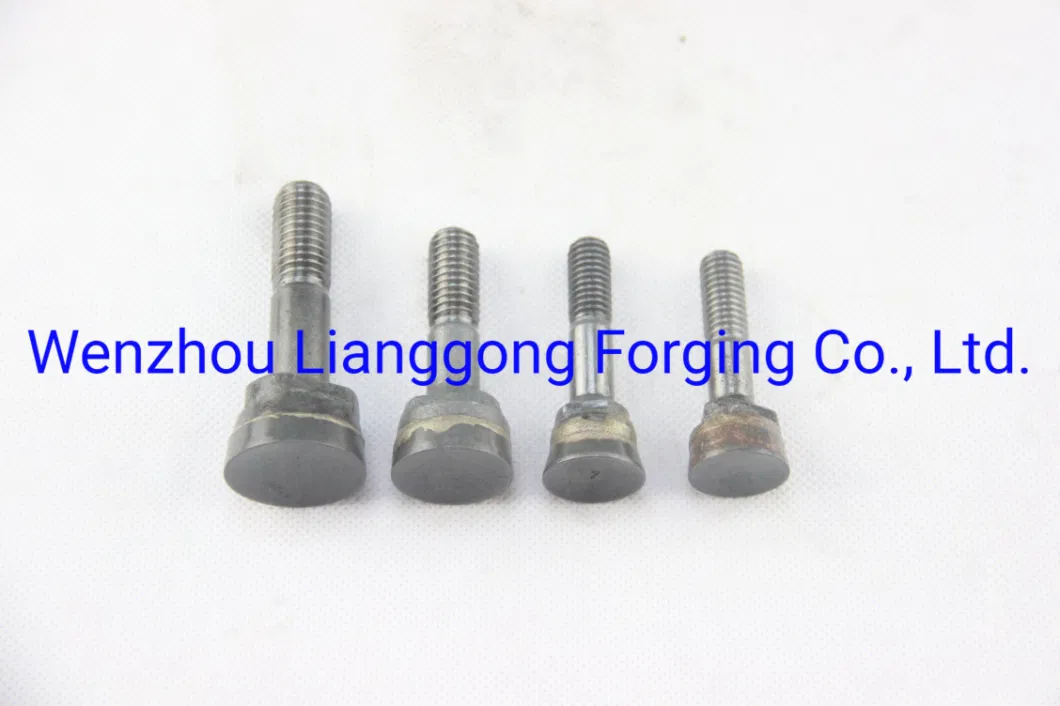 Custom Hot Die Carbon/Alloy/Stainless Steel Forged/Forging in Engineering&Construction Machinery/Agricultural Machinery/Vehicle/Valve/Machine/Machinery Parts